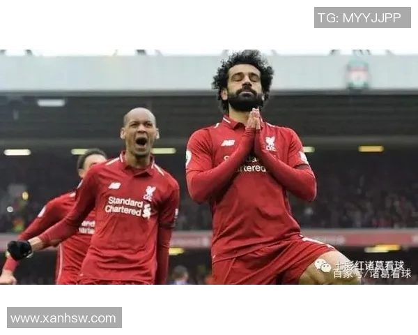 埃及与津巴布韦的足球对决分析及历史交锋回顾